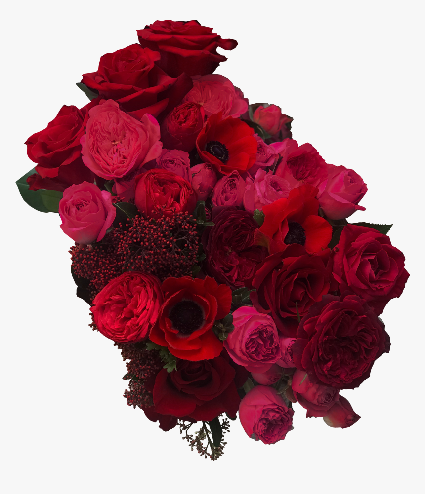 Garden Roses, HD Png Download