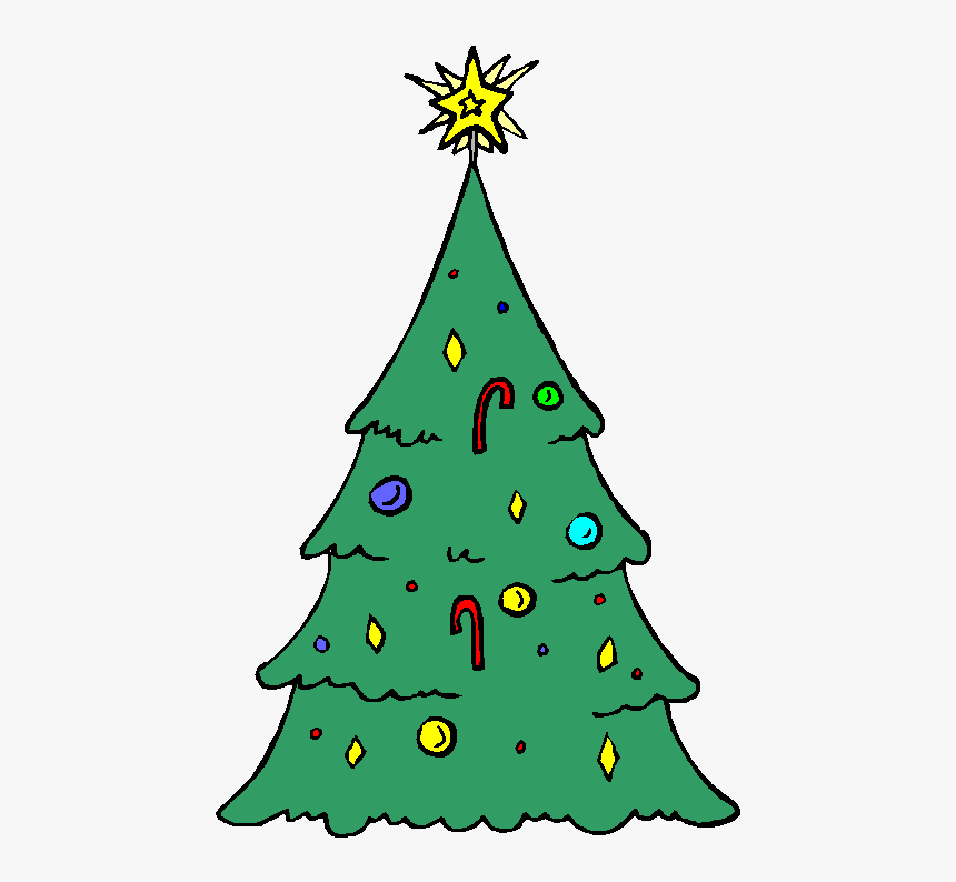 Of The Stately Fir Tree Remains Green All Year Round, - Christmas, HD Png Download