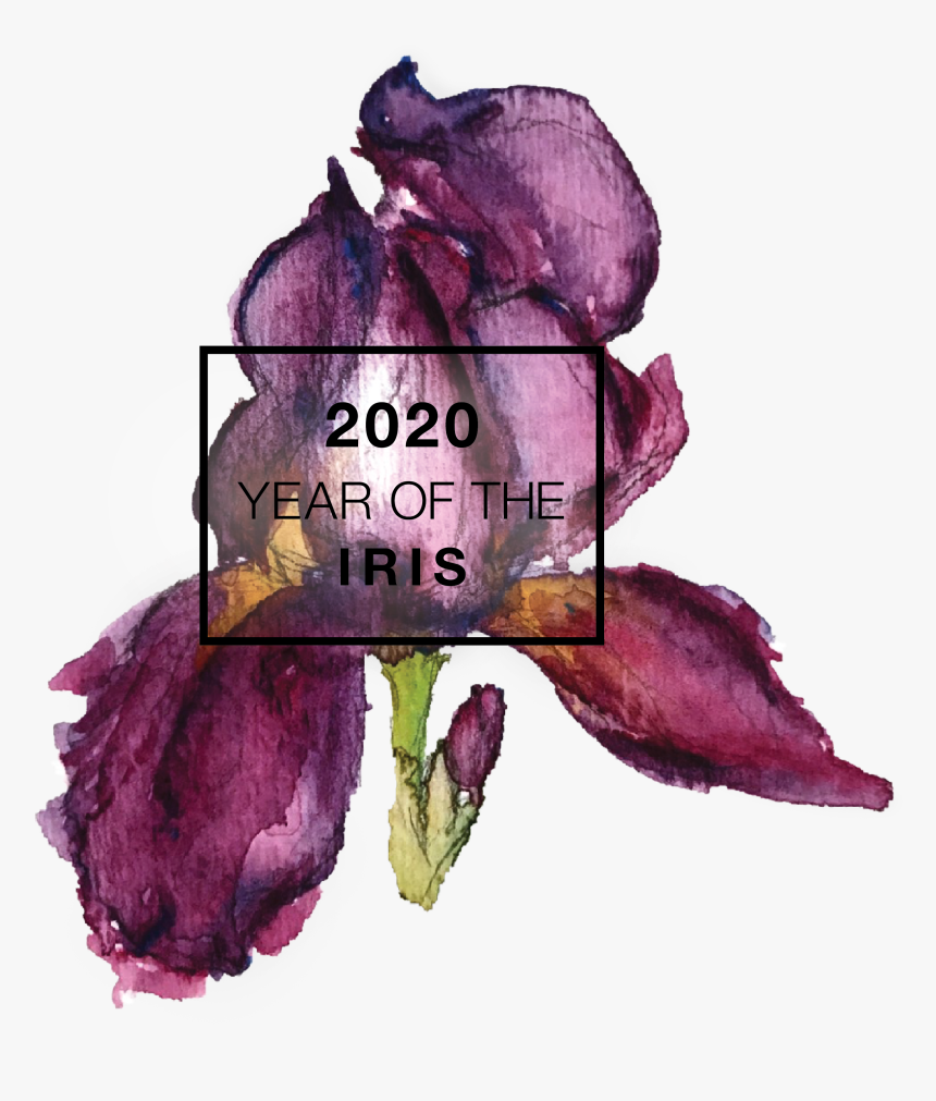 2020 Year Of The National Garden Bureau, HD Png Download