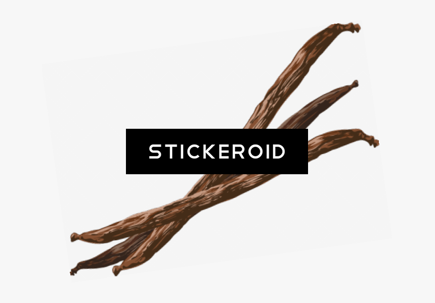 Vanilla Bean Flower - Hand, HD Png Download