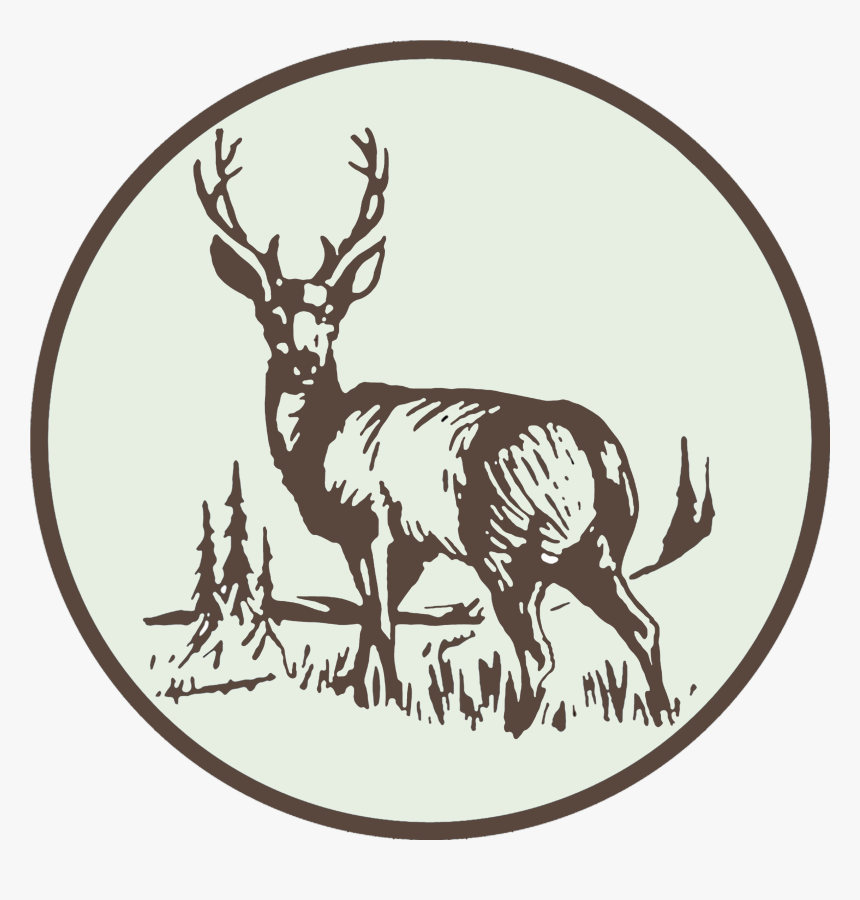 Clip Art Deer Camp, HD Png Download