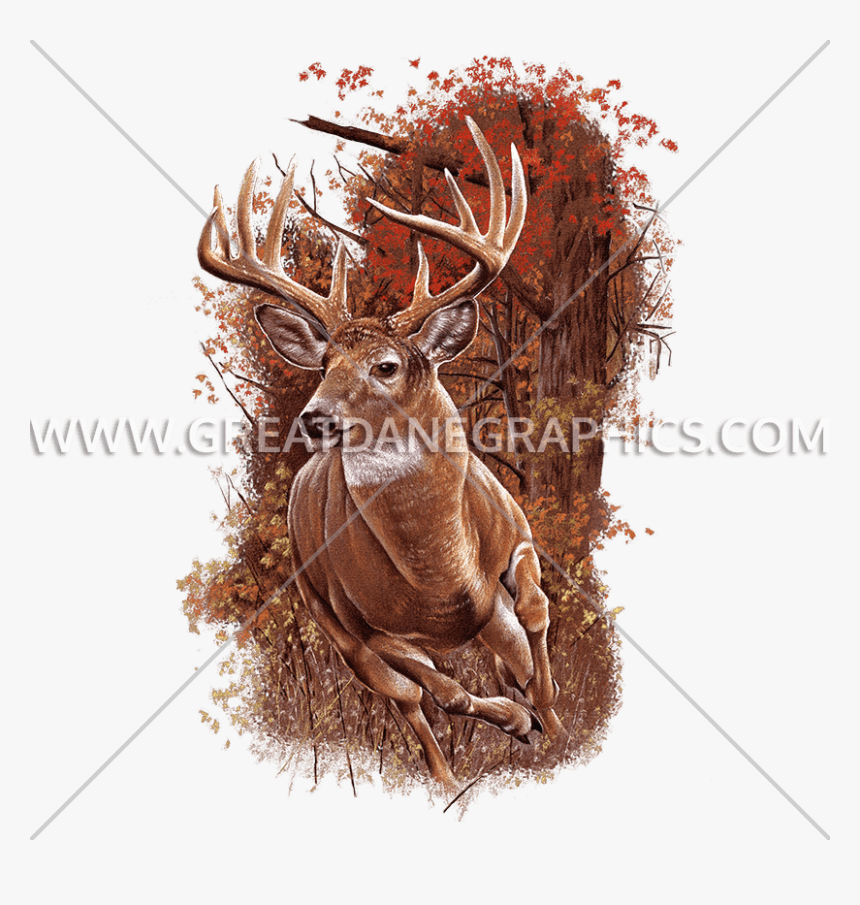 Reindeer, HD Png Download