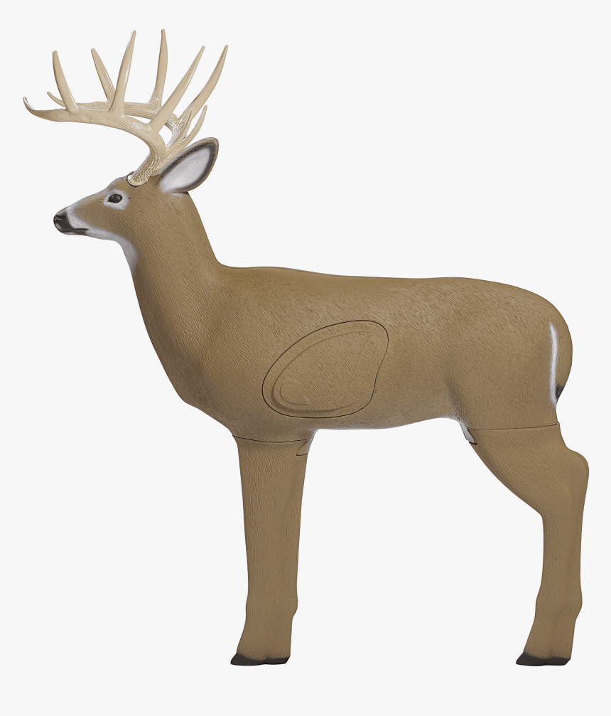 Deer Target, HD Png Download
