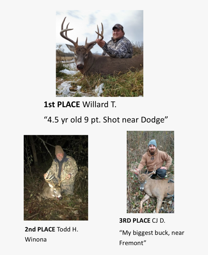 Elk, HD Png Download