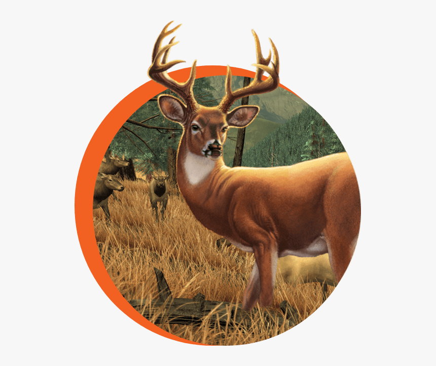 Elk, HD Png Download