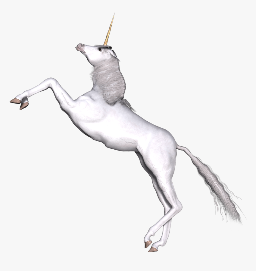 Full White Unicorn Prancing - Unicorn, HD Png Download