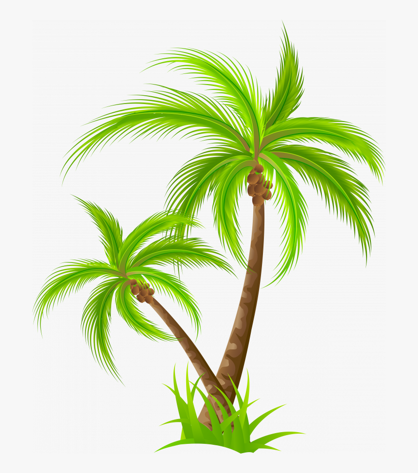 Medium Size Of Christmas Tree - Palm Tree Png Clipart, Transparent Png