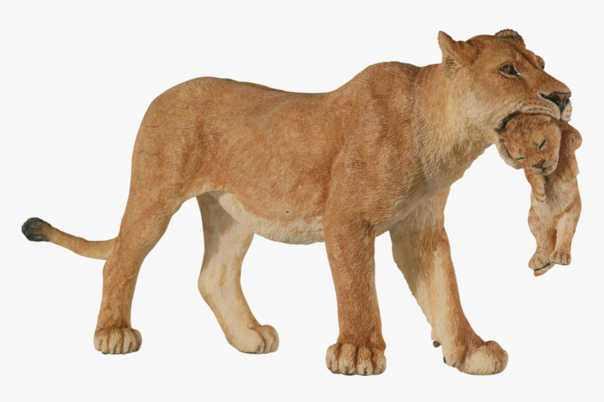 Lioness, W-2956442715, Png V - Schleich Lioness, Transparent Png
