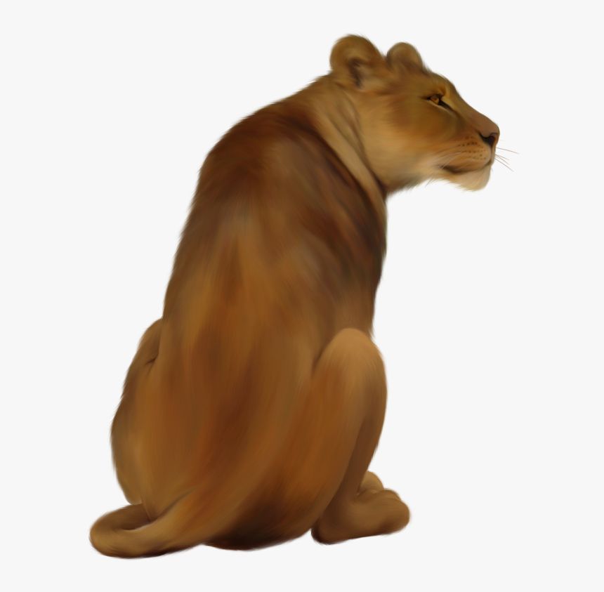 Lioness Png Pic - Png Lioness, Transparent Png