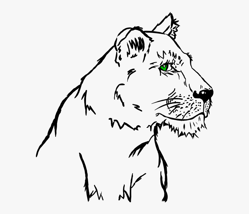 A Lioness , Png Download - Illustration, Transparent Png
