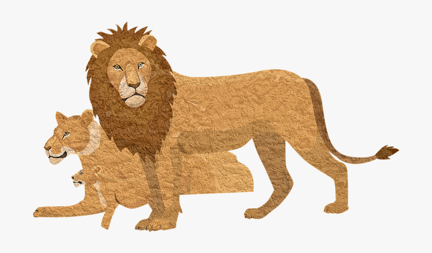 Lion King Shirts 2019, HD Png Download