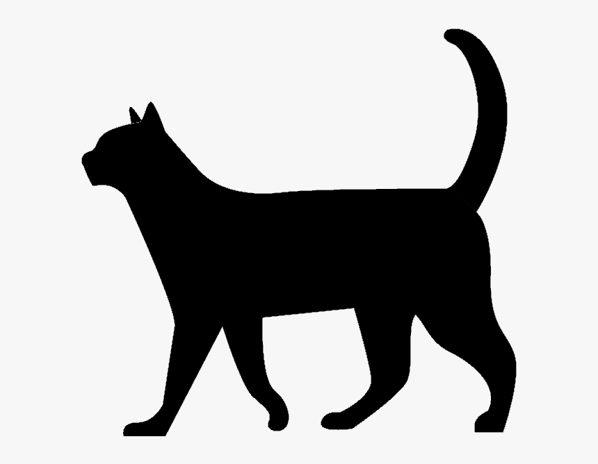 Invisible Lioness - Black Cat Silhouette Walking, HD Png Download