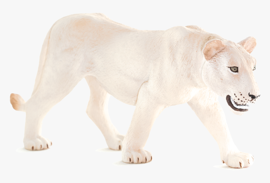 Lion, HD Png Download