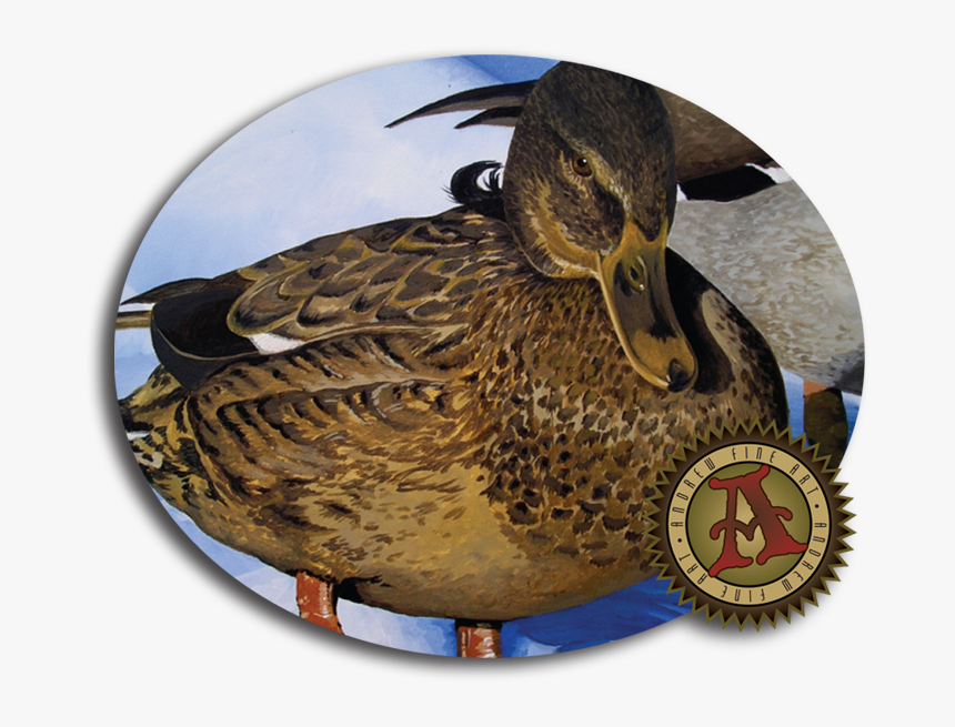 Fine Art Ducks, HD Png Download