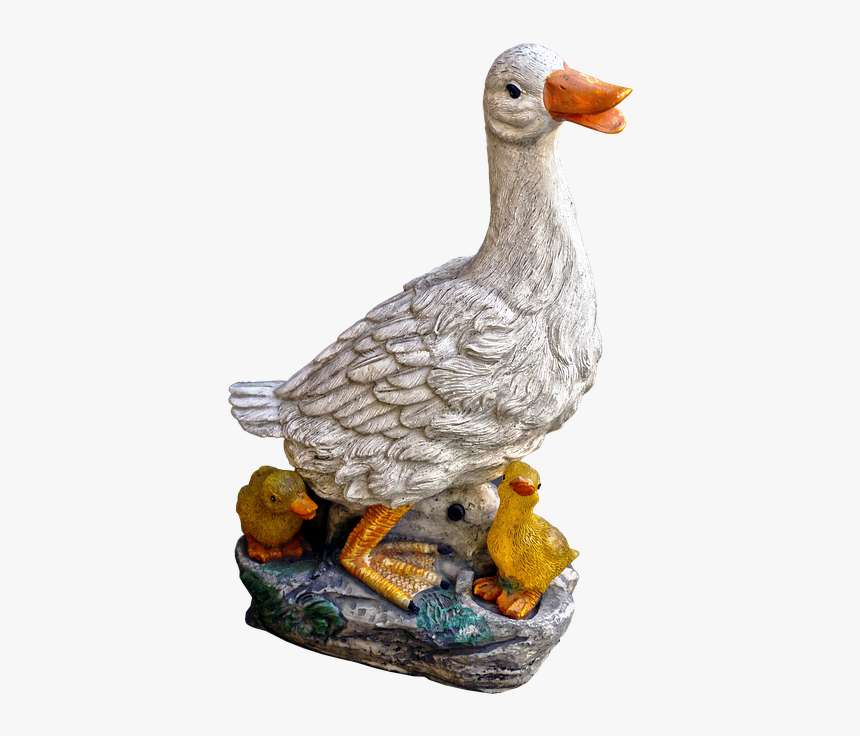 Duck, HD Png Download