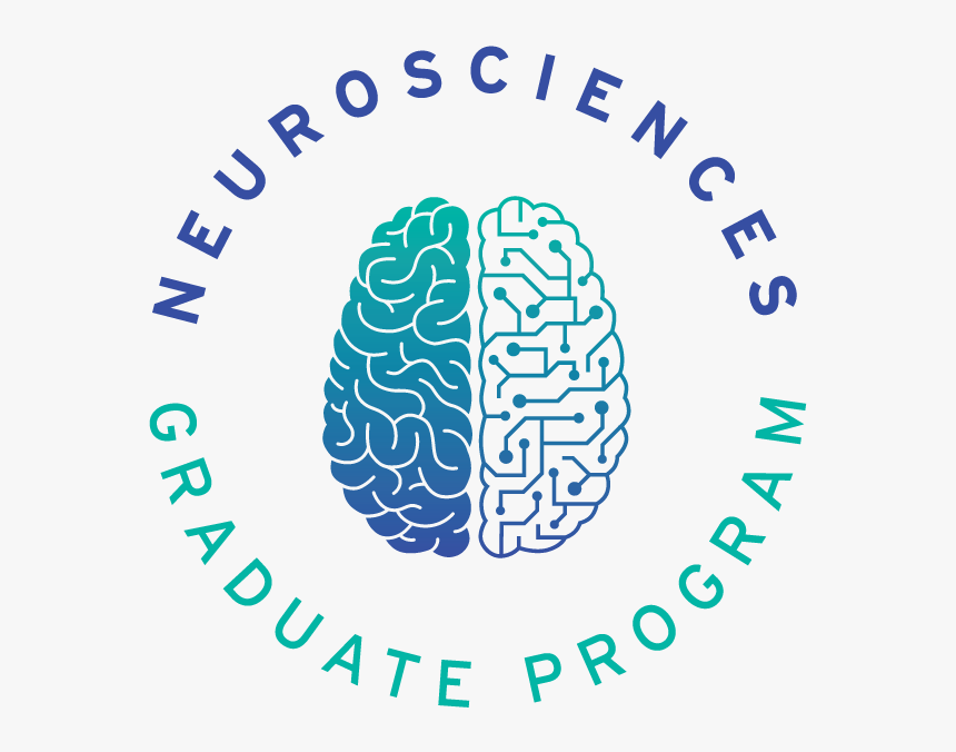 30 - Ucsd Neuroscience, HD Png Download