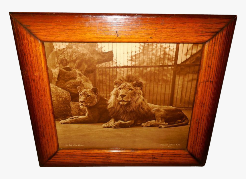 Picture Frame, HD Png Download
