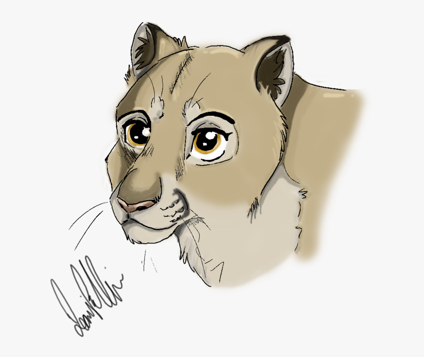 Mountain Lioness - Illustration, HD Png Download