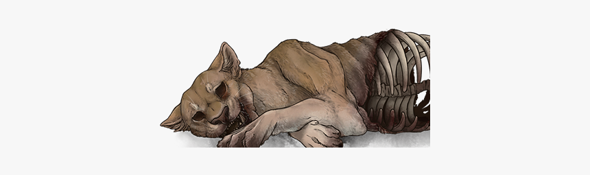 Lioness, For Computer Picture - Lion, HD Png Download