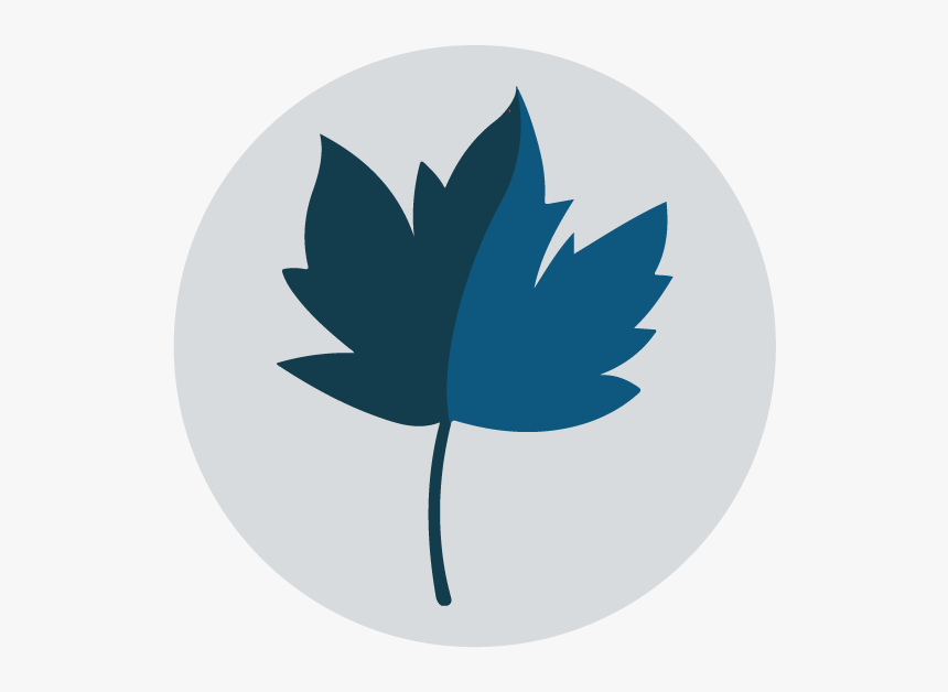 Autumn, HD Png Download