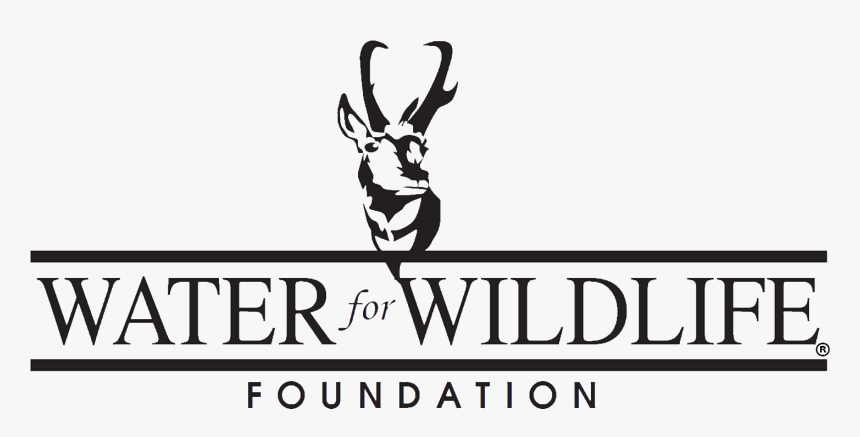 Water For Wildlife Foundation, HD Png Download