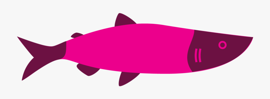 Coho, HD Png Download