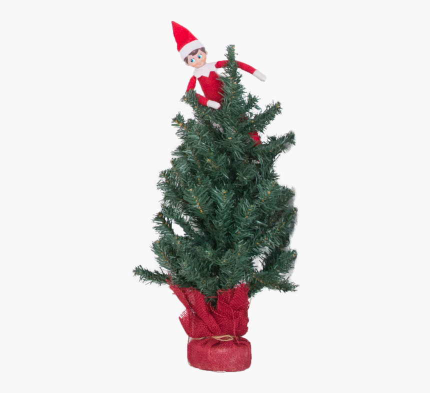 Elf In Tree - Christmas Ornament, HD Png Download