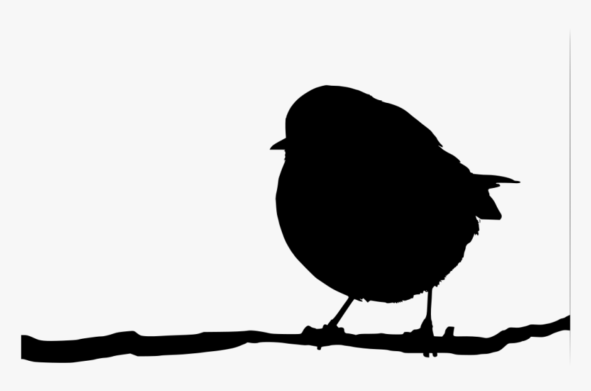 Transparent Isolated Birds Png - Silhouette Robin On A Branch, Png Download