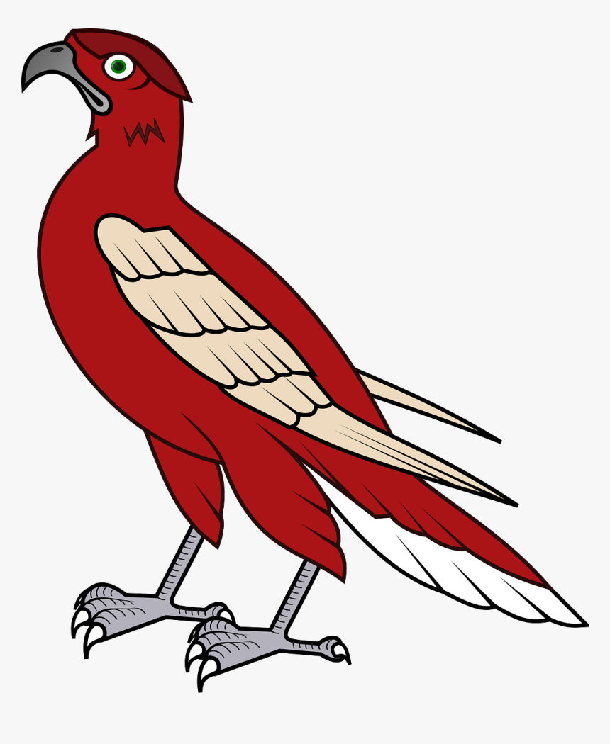 Şahin Çizimi Kus, HD Png Download