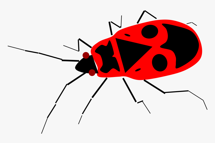 Transparent Nymph Clipart - Firebug Clipart, HD Png Download