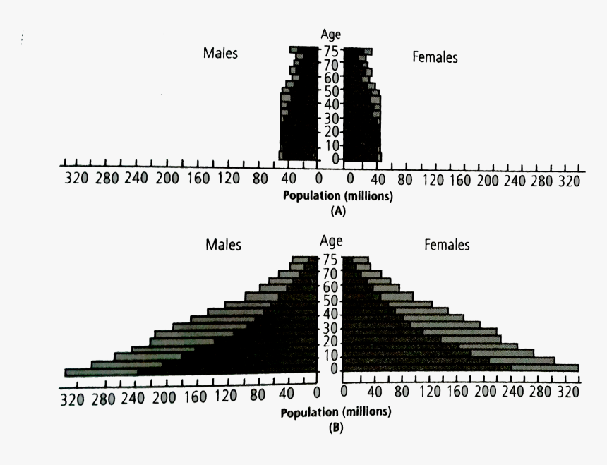 Centenary Palace, HD Png Download