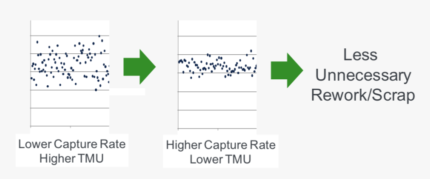 Knowledge Is Freedom , Png Download - Roundwood Primary School, Transparent Png