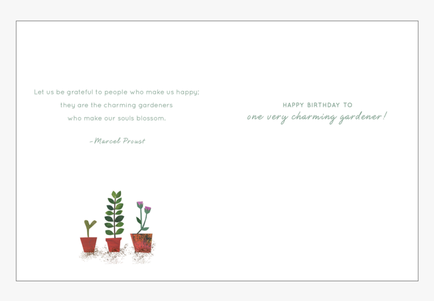 Cr008 Gardening Interior - Christmas Tree, HD Png Download