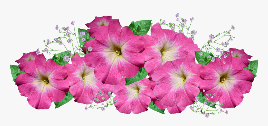 ดอกไม้ แต่ง บอร์ด Png, Transparent Png