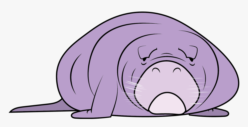Cartoon Manatee Transparent , Png Download - Cartoon Manatee Transparent, Png Download