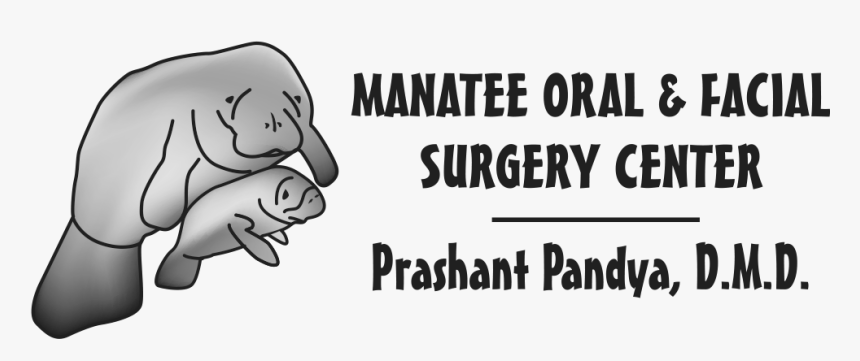 Manatee Logo - Cartoon, HD Png Download