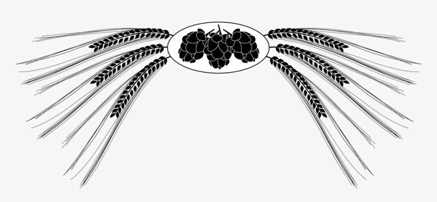 Barley Hops Png, Transparent Png