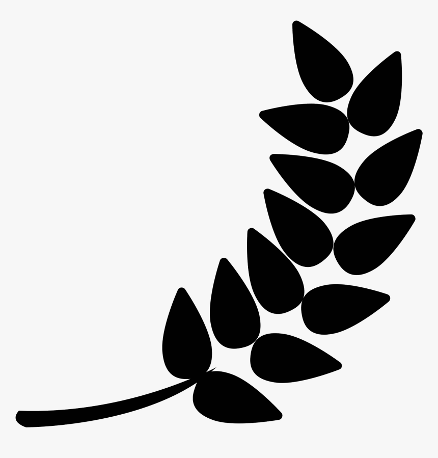 Barley Filled Icon - Icone Cevada Png, Transparent Png