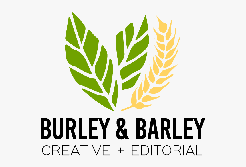 Picture - Stability Ball Toning Exercises, HD Png Download