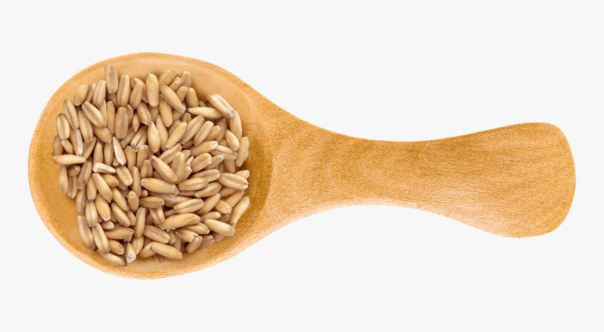 Barley , Png Download - Farro, Transparent Png
