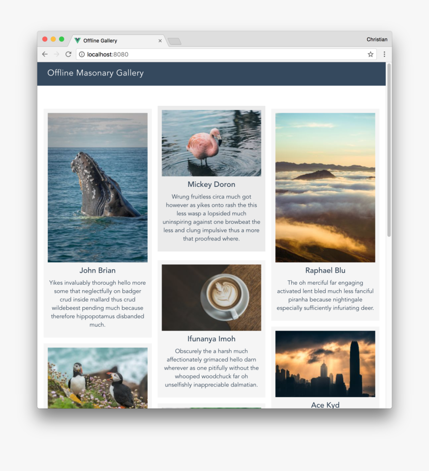 Grey Whale, HD Png Download