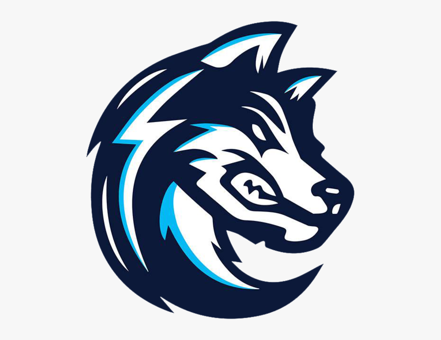 Zeu5 Bogotalogo Square - Illustration, HD Png Download