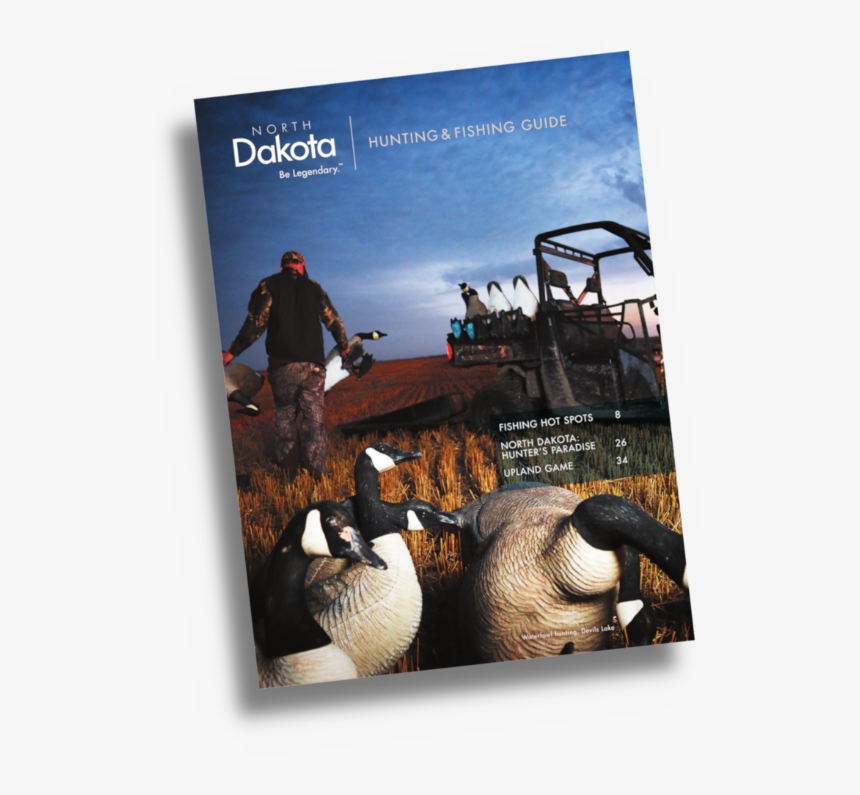 Flyer, HD Png Download