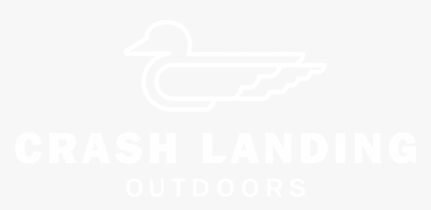 Duck, HD Png Download