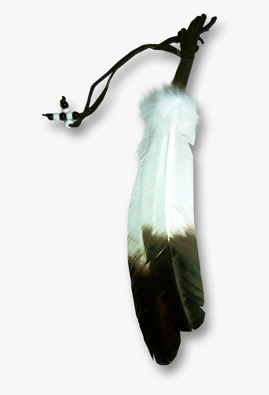 Transparent Feather Png Transparent - Eagle Feather Transparent Background, Png Download