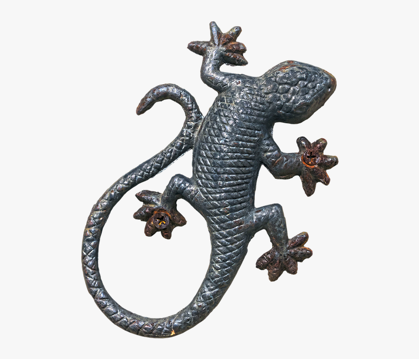 Reptile, HD Png Download