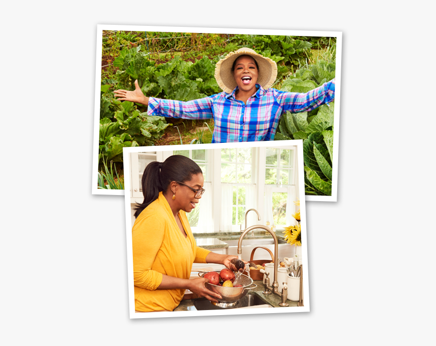 Image1 - Leisure, HD Png Download