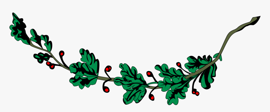 Plant,flora,leaf - Coat Of Arms Oak Leaves, HD Png Download