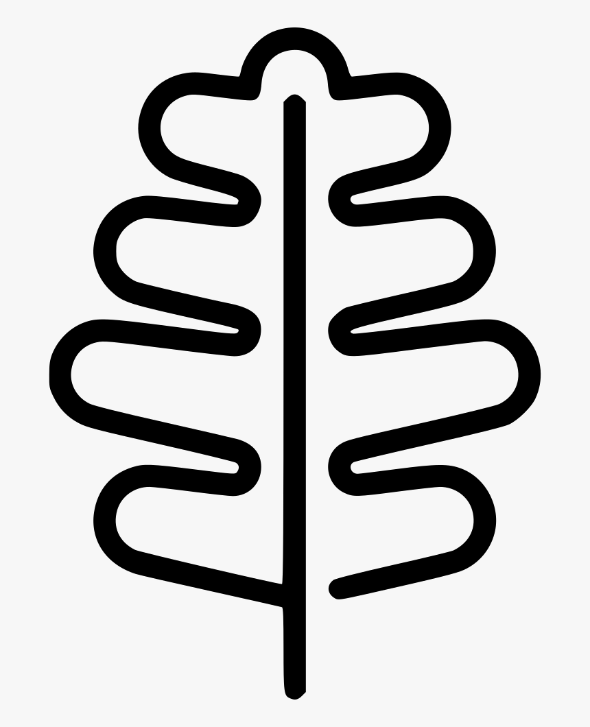 Oak Leaf, HD Png Download