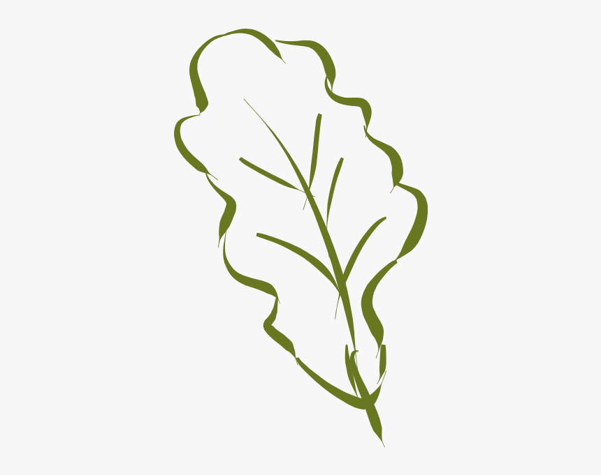 Oak Leaf-1577293685, HD Png Download